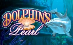 Dolphins Pearl